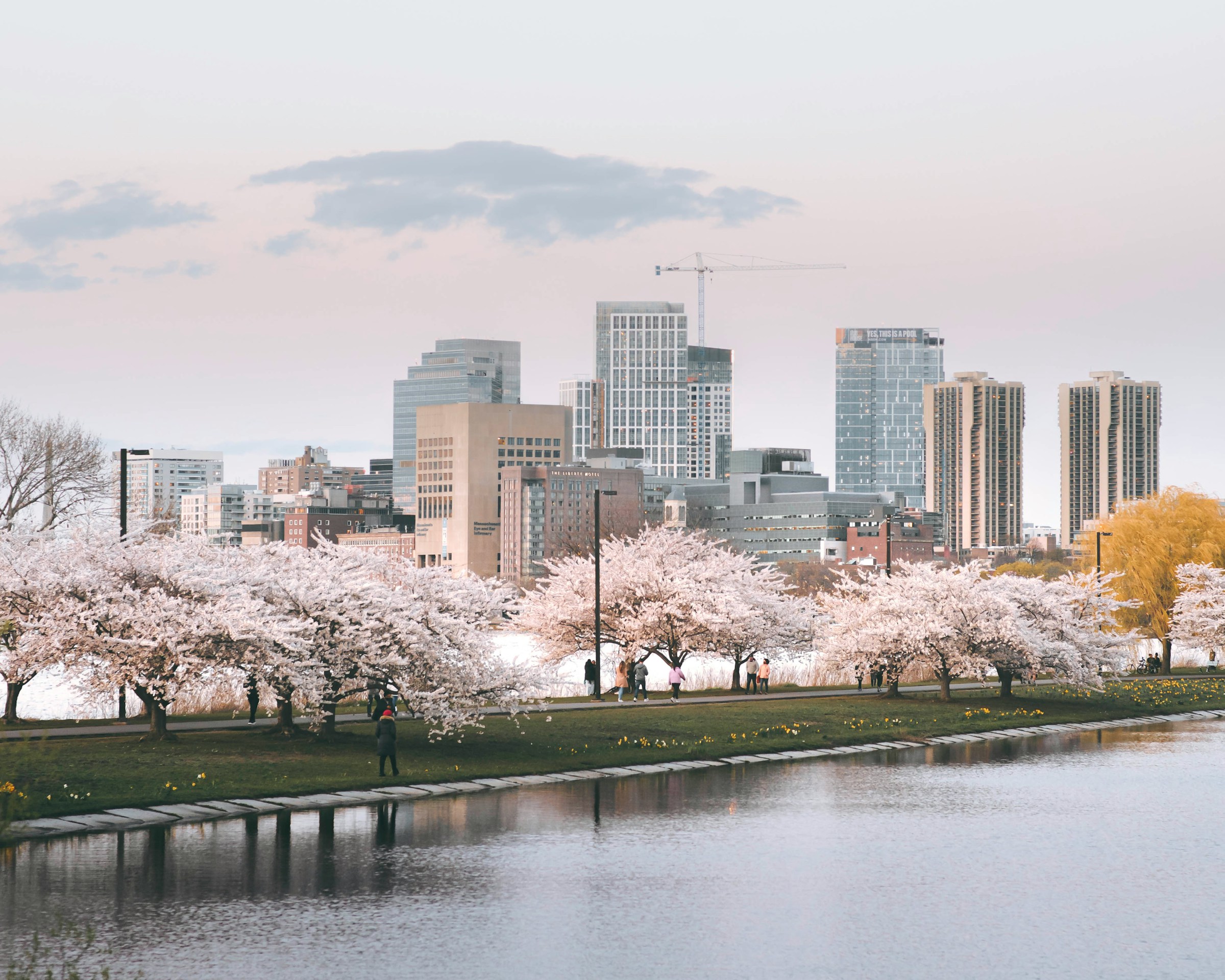 Quarterly Newsletter – April 2025